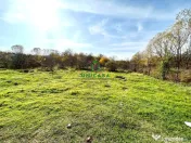 Teren Dem Radulescu 1092mp 