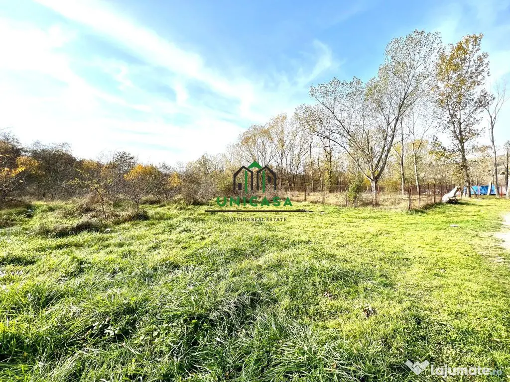 Teren Dem Radulescu 1092mp