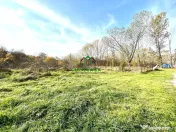 Teren Dem Radulescu 1092mp 