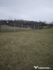 Teren 440 mp. in padurea Vladimirescu - ID:RH-36353-property 