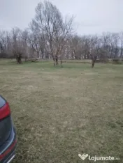 Teren 440 mp. in padurea Vladimirescu - ID:RH-36353-property 