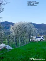 Teren Vadurele, Al. cel Bun
