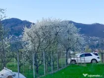 Teren Vadurele, Al. cel Bun