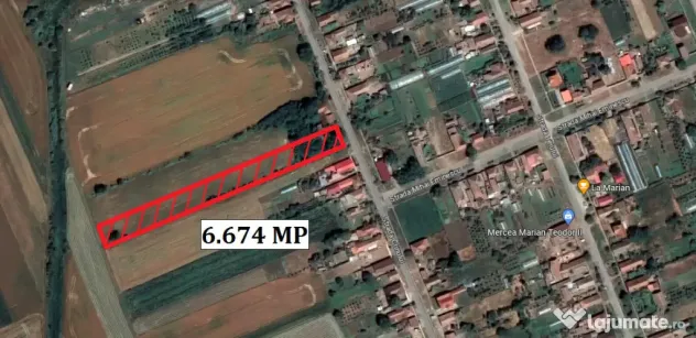 Teren intravilan 6674 mp in Macea - ID : RH-37659-property