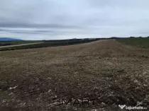 Teren extravilan 2800mp Daia Romana - Alba