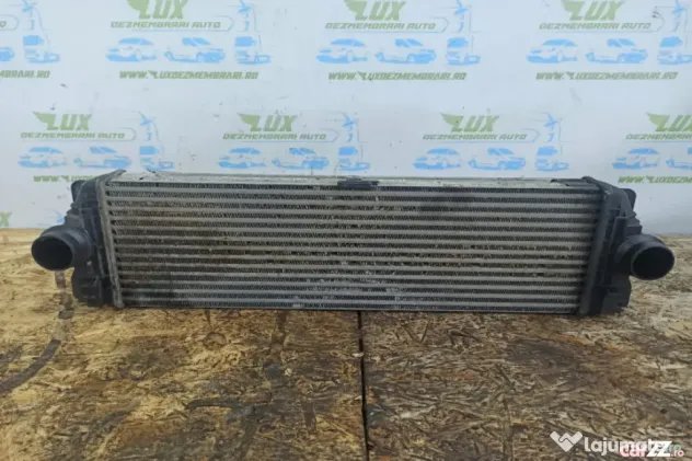Radiator intercooler 2.2 cdi A9065010201 Volkswagen VW Crafter (face