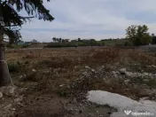 Teren zona Centură 2 ha 