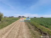 Teren Lac Balotesti 5000 mp intravilan utilitati str Lacului 