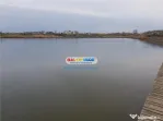 Teren Lac Balotesti 5000 mp intravilan utilitati str Lacului