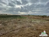 Teren de in Otopeni 6900 mp