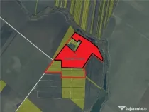 Teren intravilan Popesti Leordeni - DN4 - Glina, Ilfov