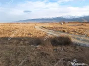 Teren extravilan 8400 mp de pe Valea Avrigului 