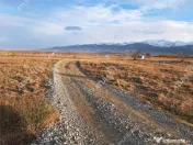 Teren extravilan 8400 mp de pe Valea Avrigului 