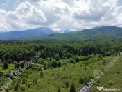 Teren extravilan 8400 mp de pe Valea Avrigului 