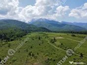 Teren extravilan 8400 mp de pe Valea Avrigului 