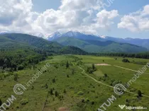 Teren extravilan 8400 mp de pe Valea Avrigului
