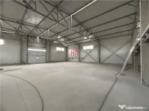 Hala/depozit/spatiu industrial Magurele - Atomistilor, ILFO