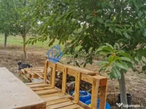 ZONA C.A.P.-TEREN INTRAVILAN ,608MP