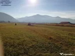 Teren intravilan Bistrita
