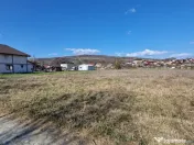 BUDESTI - TEREN 2550 MP 