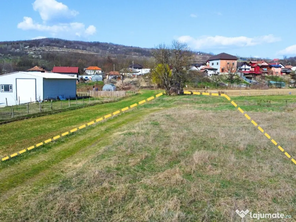 BUDESTI - TEREN 2550 MP