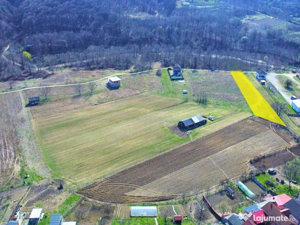 BUDESTI - TEREN 2550 MP