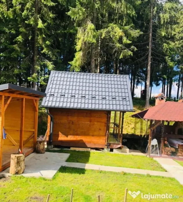 Casa de vacanta, 4 camere, 119 mp utili, 2300 mp de teren, M