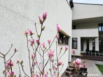 Vila P+E, proiect modern, zona Mai