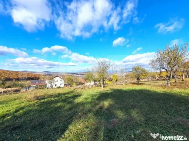 Teren intravilan 38 ari, cartierul Raal - Bistrita (Bistrita-Nasaud)