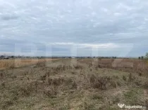 Teren extravilan de 2539 mp in Dudovicesti