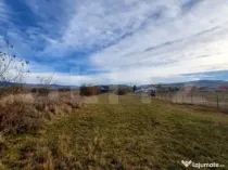 Teren de 25 ari în localitatea Livezile