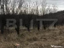 Teren intravilan, 3278mp, Viforata