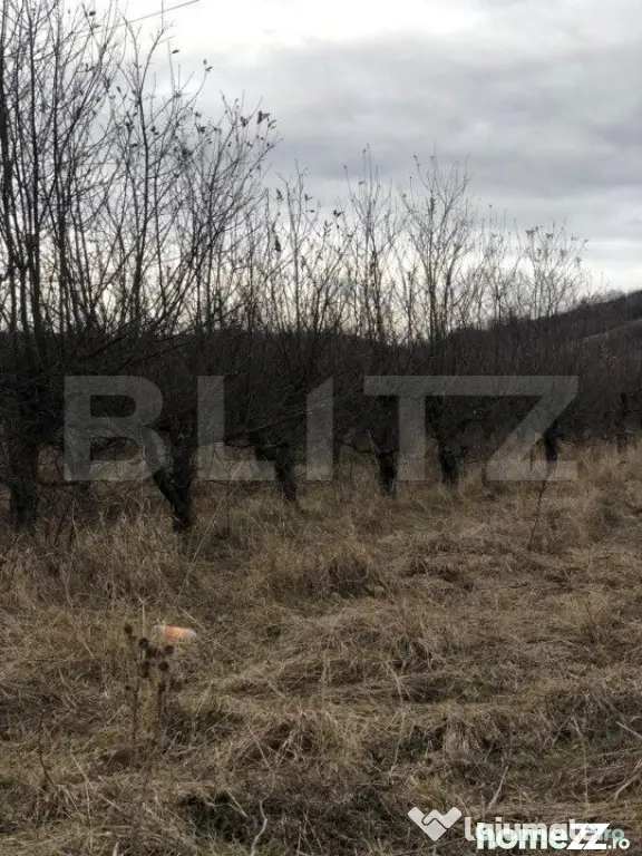 Teren intravilan, 3278mp, Viforata - Viforata (Dambovita)