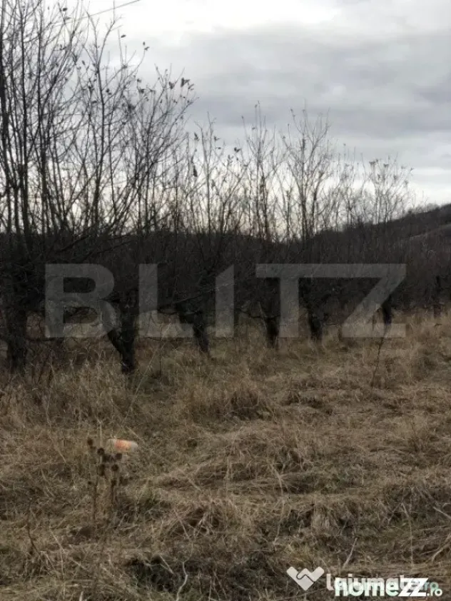 Teren intravilan, 3278mp, Viforata - Viforata (Dambovita)