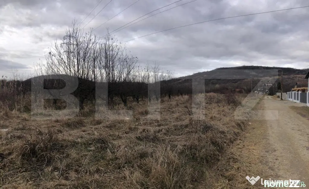 Teren intravilan, 3278mp, Viforata - Viforata (Dambovita)
