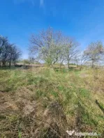 Teren partial intravilan, 4000 mp, Valea Chintaului