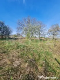 Teren partial intravilan, 4000 mp, Valea Chintaului