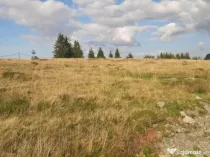 Teren, 1000 mp, intravilan, utilitati, zona Beliș