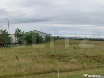 Teren 5851 mp, Centra Nord, zona valea Sarpelui