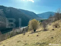 Teren 14 ha compact langa Lacul Tau Bistra