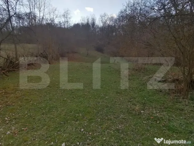 Teren intravilan 2900 mp in Zona Presaca Ampoiului