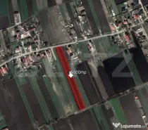 Teren 5500mp intre case, Stupini