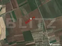 Teren de vanzare 42.300 mp, Harman - Tarlungeni