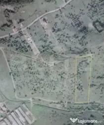 Teren extravilan ,9200mp,Unirea