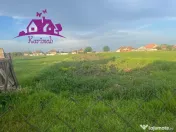 Casa în localitatea Ianosda 