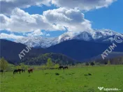 Teren intravilan de in Avrig zona Valea Avrigului 