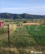 Teren cu livada 120 pomi,imprejmuit 33Ari,intravilan,zona Na