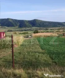 Teren cu livada 120 pomi,imprejmuit 33Ari,intravilan,zona Na