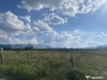 Vânzare teren 3850 mp Panaci