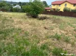 Teren intravilan 800 m Patriarh Iustinian Marina